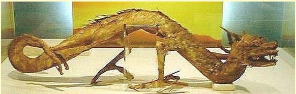 中國黃龍洞發現真龍