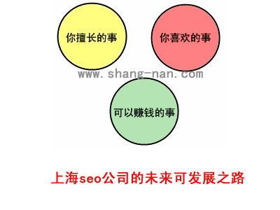 上海seo公司的未來(lái)可發(fā)展之路